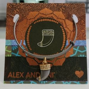 Alex and Ani black 🐅 Tiger claw bracelet.